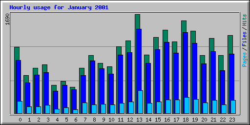 Hourly usage for January 2001